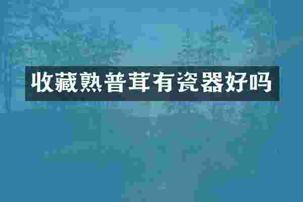 收藏熟普茸有瓷器好吗