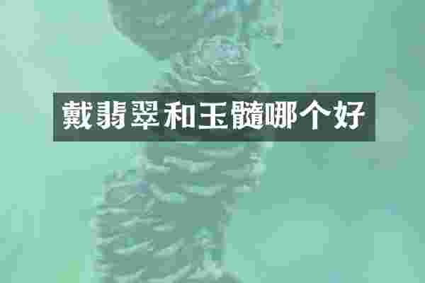 戴翡翠和玉髓哪个好