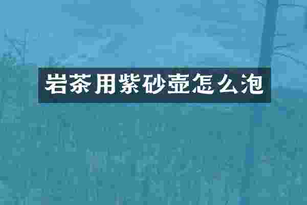 岩茶用紫砂壶怎么泡