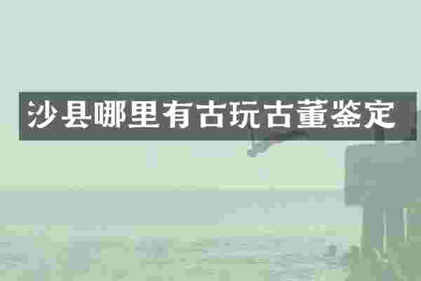 沙县哪里有古玩古董鉴定