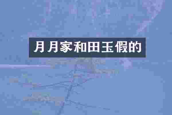 月月家和田玉假的