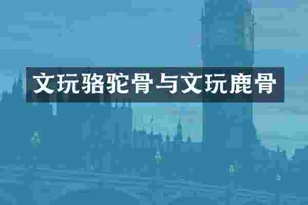 文玩骆驼骨与文玩鹿骨