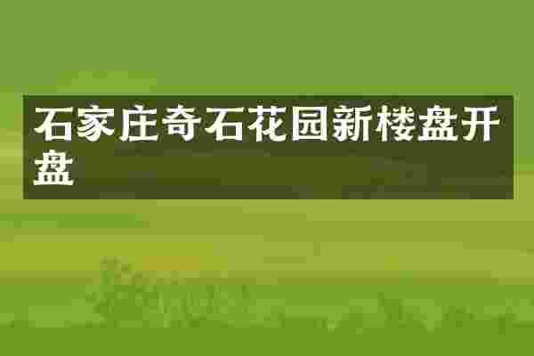 石家庄奇石花园新楼盘开盘