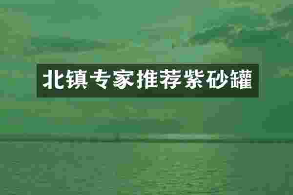 北镇专家推荐紫砂罐