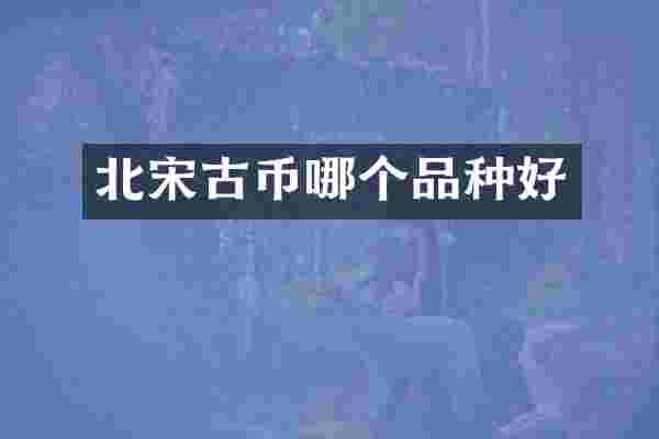 北宋古币哪个品种好