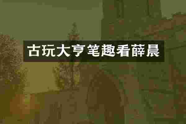 古玩大亨笔趣看薛晨