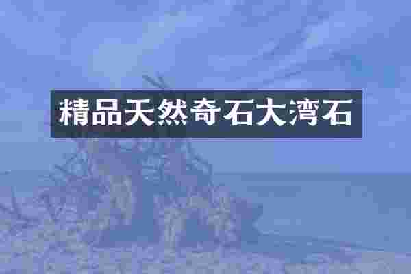 精品天然奇石大湾石