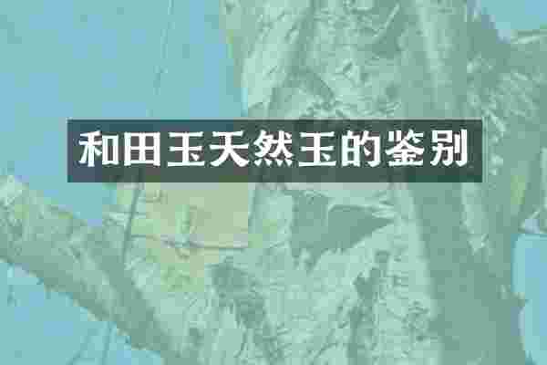 和田玉天然玉的鉴别