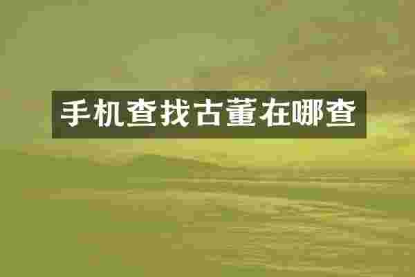 手机查找古董在哪查