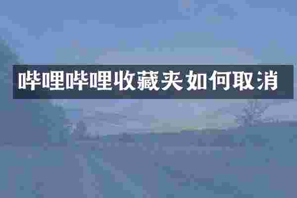 哔哩哔哩收藏夹如何取消