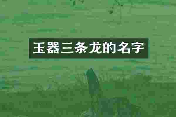 玉器三条龙的名字