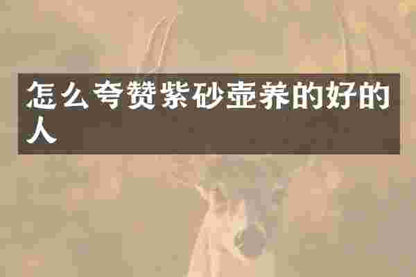 怎么夸赞紫砂壶养的好的人