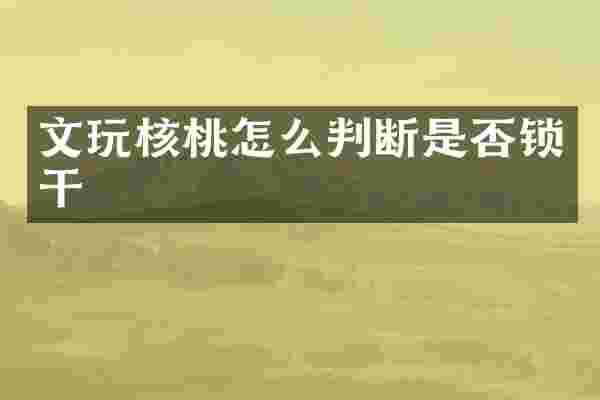 文玩核桃怎么判断是否锁干