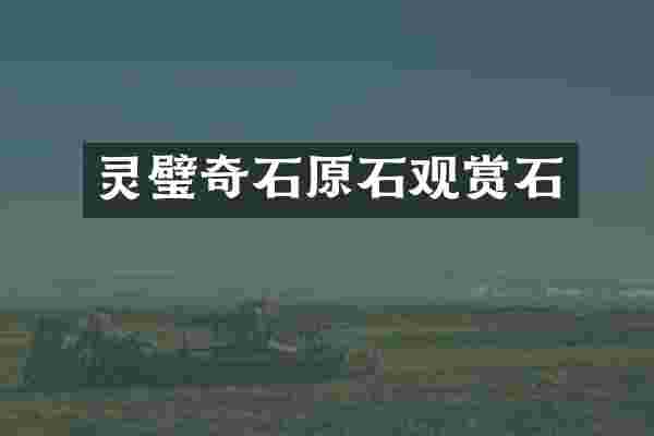 灵璧奇石原石观赏石