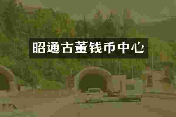 昭通古董钱币中心