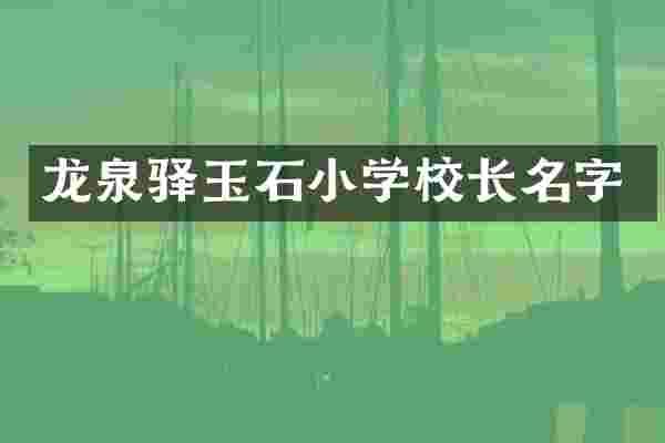 龙泉驿玉石小学校长名字
