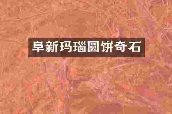 阜新玛瑙圆饼奇石