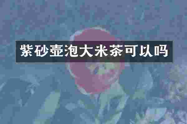 紫砂壶泡大米茶可以吗