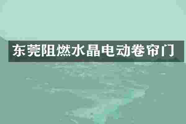 东莞阻燃水晶电动卷帘门