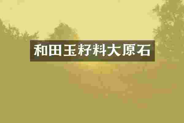 和田玉籽料大原石