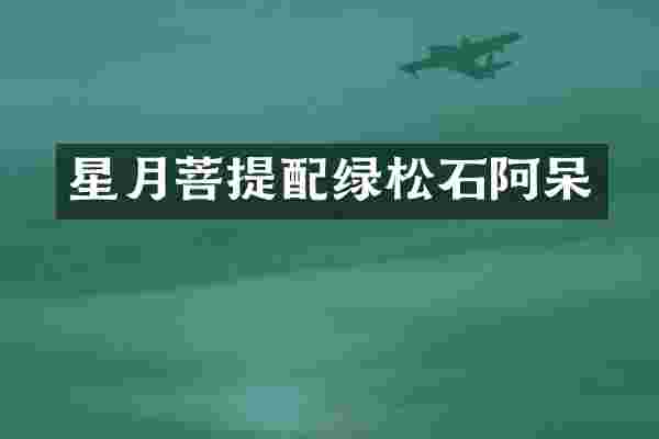 星月菩提配绿松石阿呆