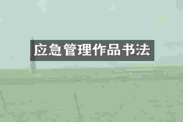 应急管理作品书法