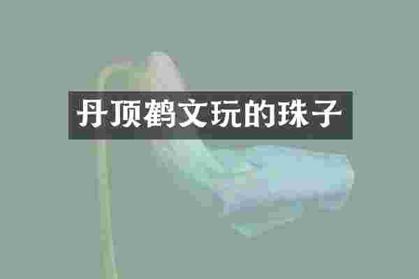 丹顶鹤文玩的珠子