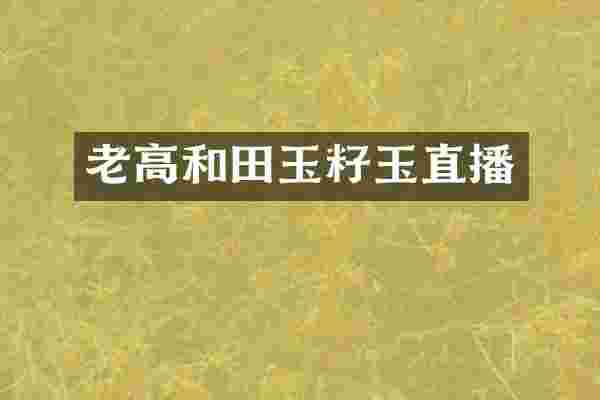 老高和田玉籽玉直播