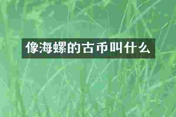 像海螺的古币叫什么