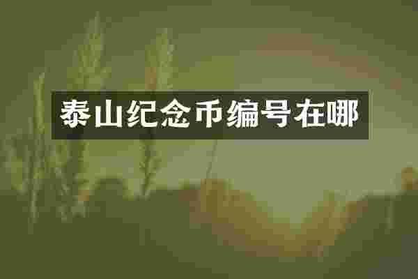 泰山纪念币编号在哪