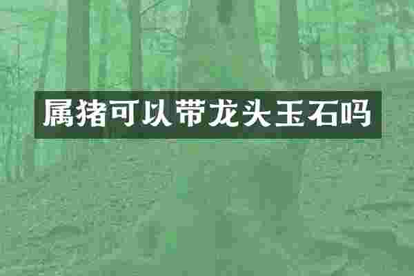 属猪可以带龙头玉石吗