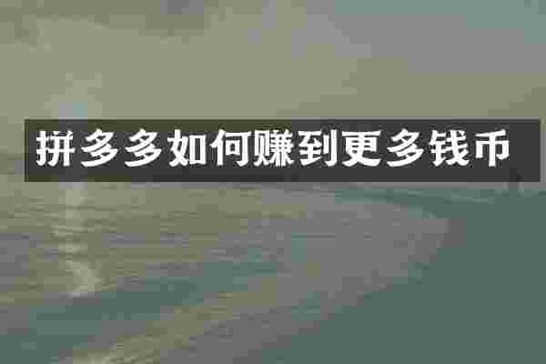 拼多多如何赚到更多钱币