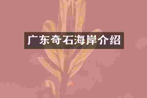 广东奇石海岸介绍