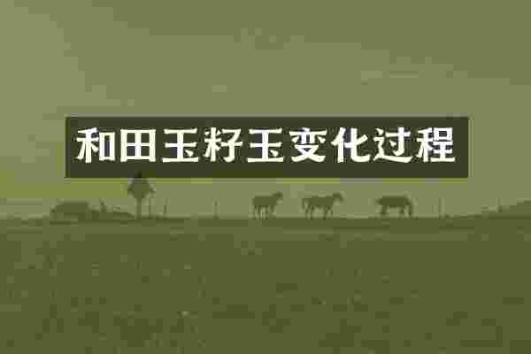 和田玉籽玉变化过程
