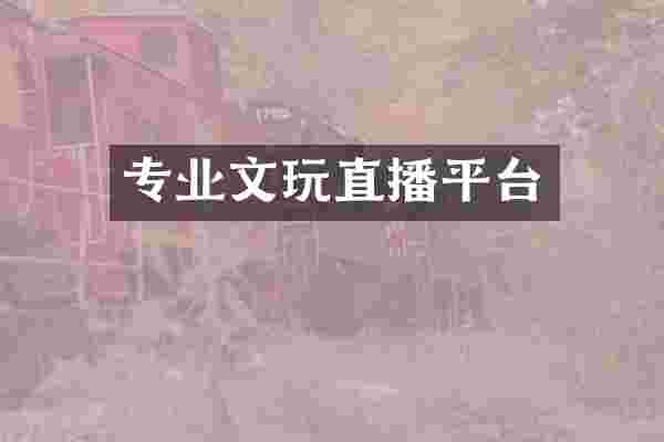 专业文玩直播平台