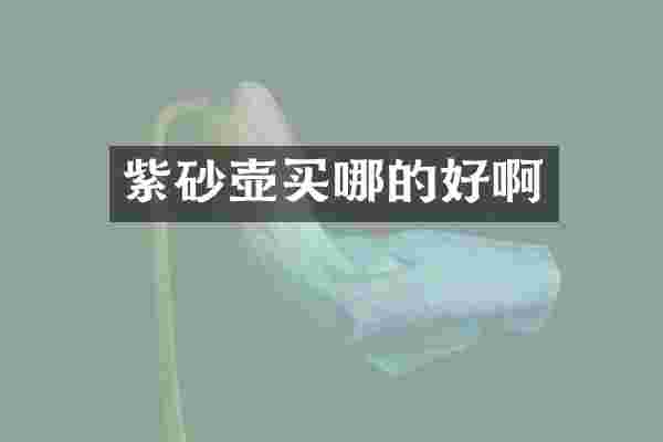 紫砂壶买哪的好啊