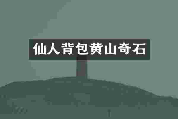 仙人背包黄山奇石