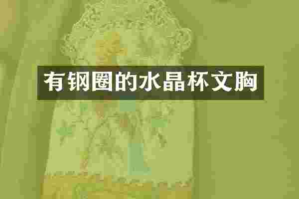 有钢圈的水晶杯文胸