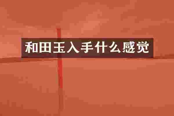 和田玉入手什么感觉