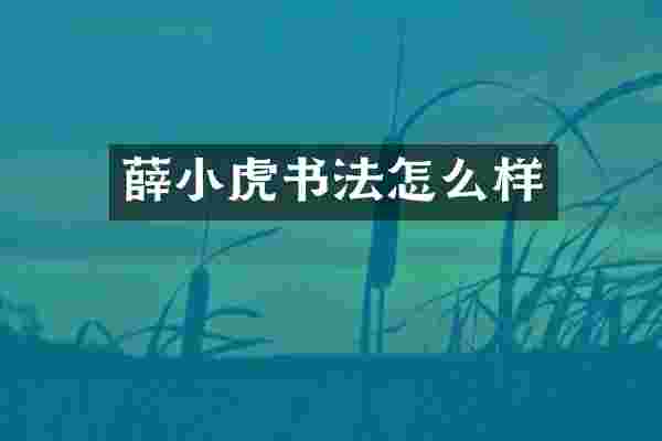 薛小虎书法怎么样