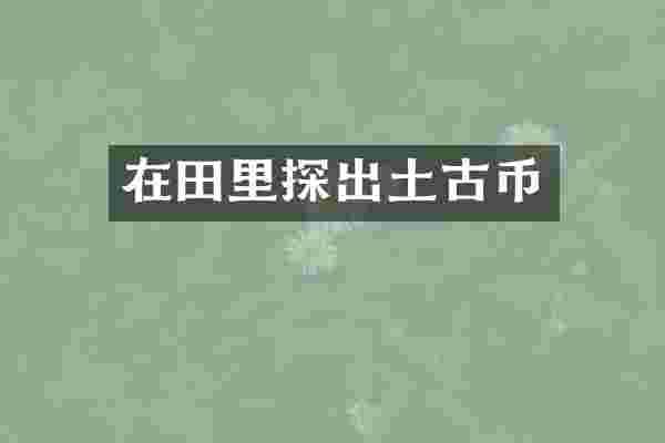 在田里探出土古币