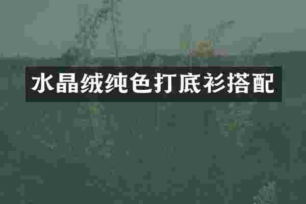 水晶绒纯色打底衫搭配