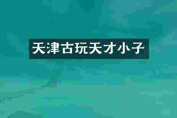 天津古玩天才小子