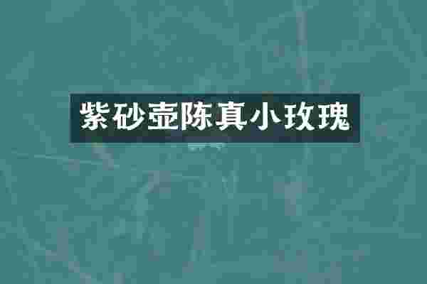紫砂壶陈真小玫瑰