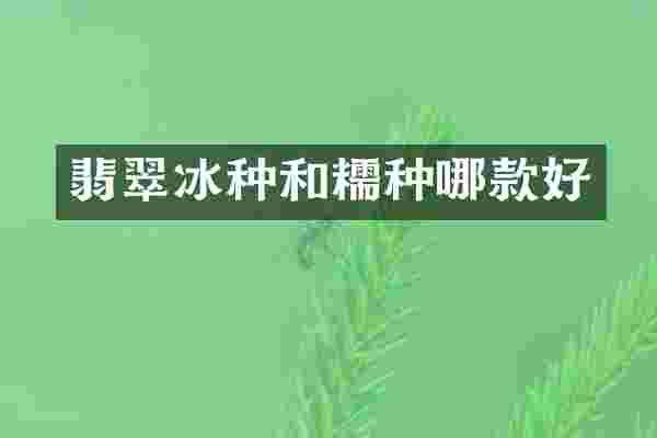 翡翠冰种和糯种哪款好
