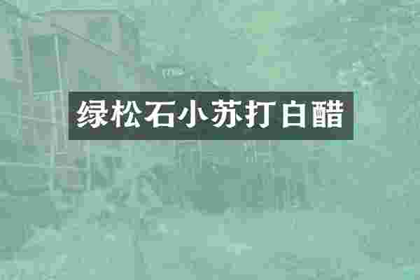 绿松石小苏打白醋