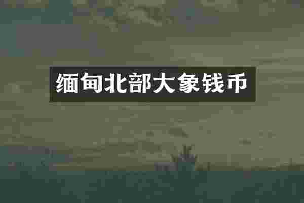 缅甸北部大象钱币