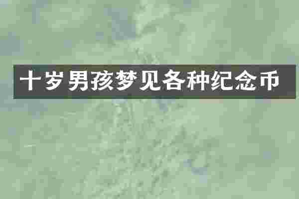 十岁男孩梦见各种纪念币