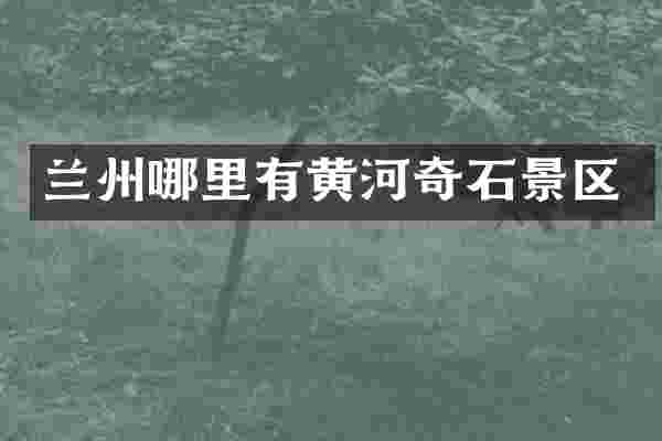 兰州哪里有黄河奇石景区