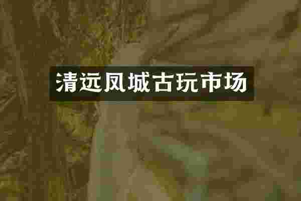 清远凤城古玩市场